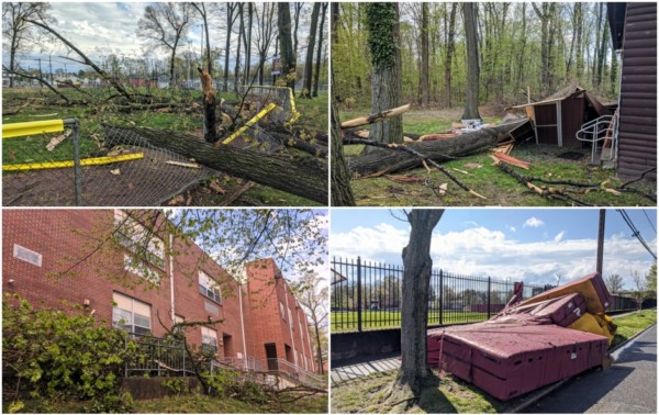 Apparent Straight-Line Storm Downs Trees, Power Lines ...